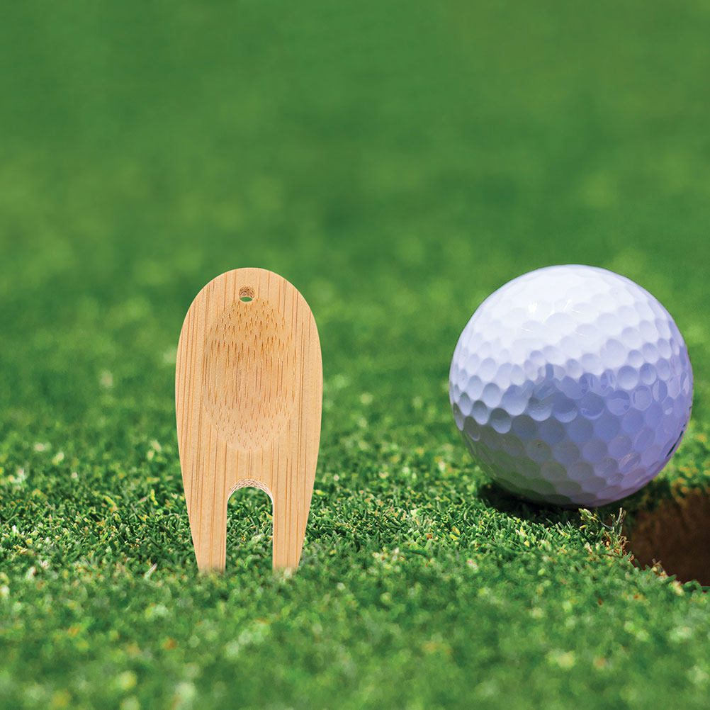12Pcs Wooden Golf Divot Repair - Ball Marker Set review and price