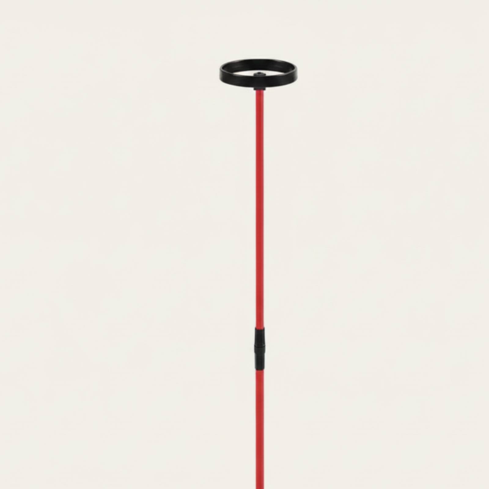 Golf Training Aid with Head St - Training Aid Swing review and price